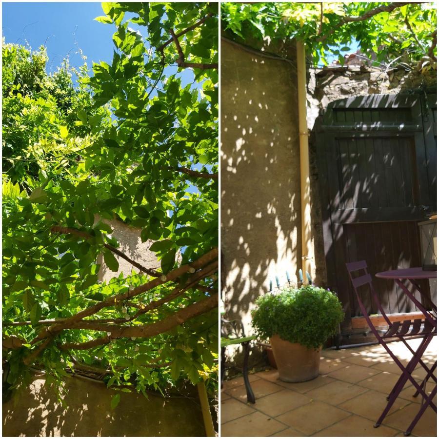 Le Chateau Camps-sur-l'Agly Exterior foto