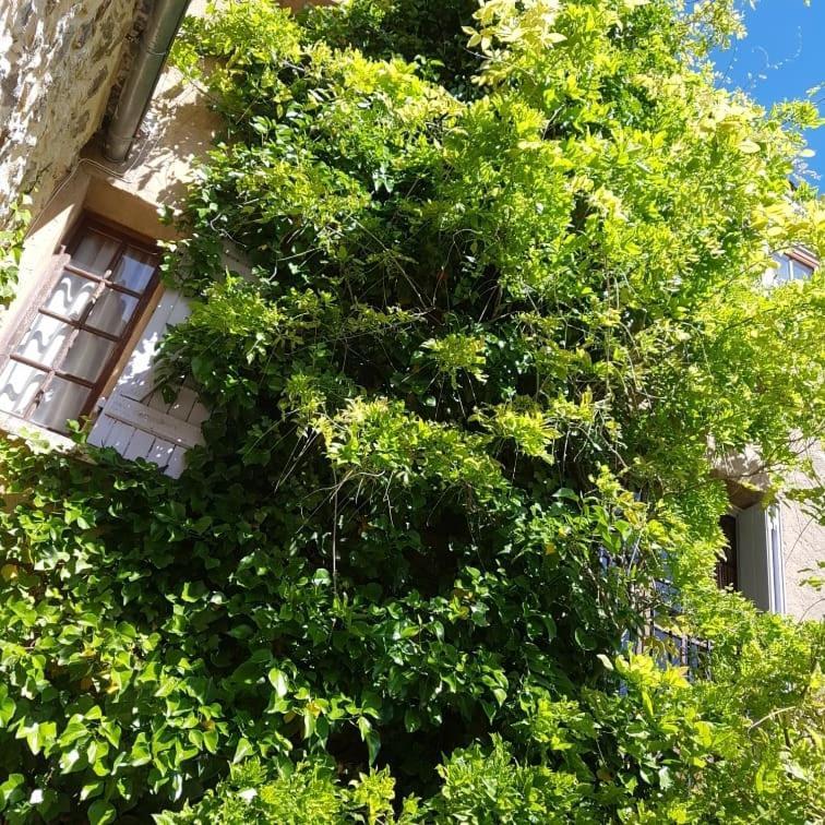 Le Chateau Camps-sur-l'Agly Exterior foto